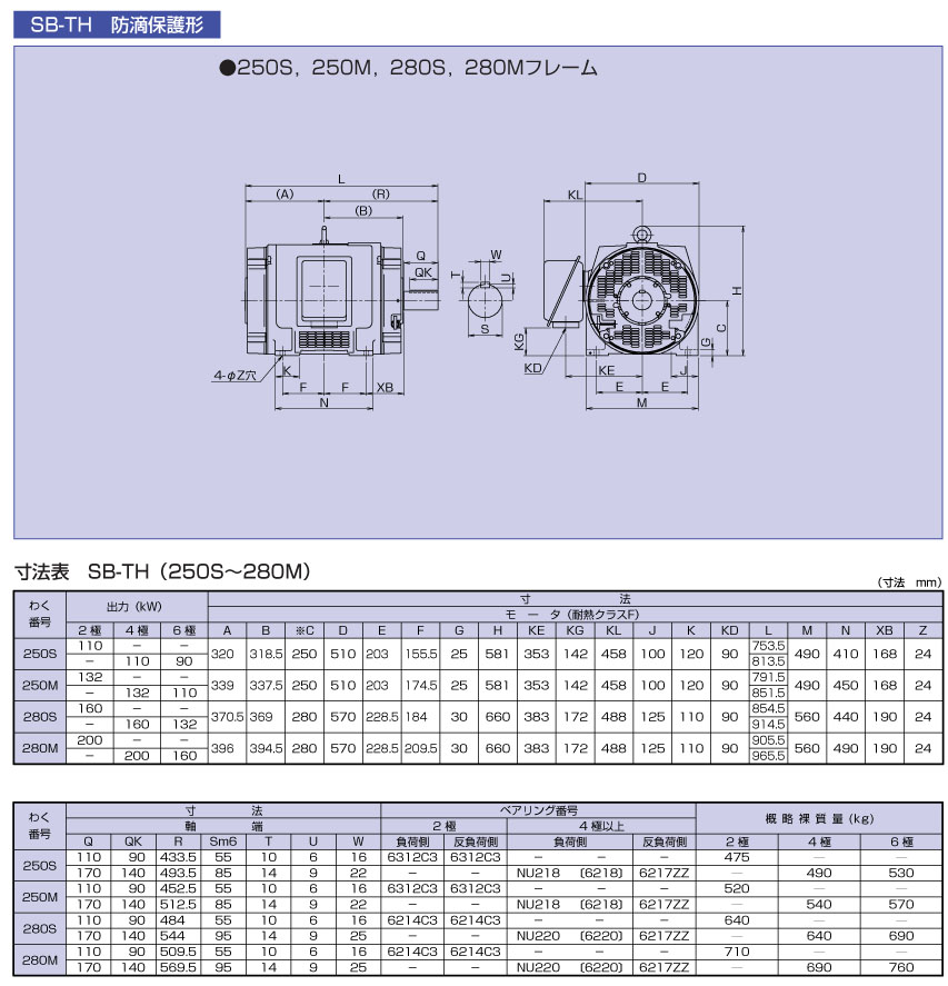 ����늙CSB-TH
